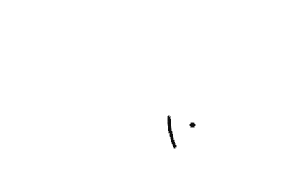 Fisch Logo